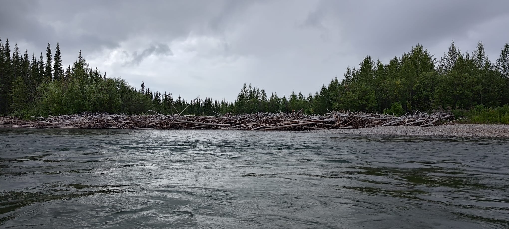 Flusslandschaft mit Treibholz und bewölktem Himmel